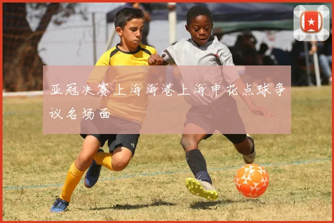 亚冠决赛上海海港上海申花点球争议名场面