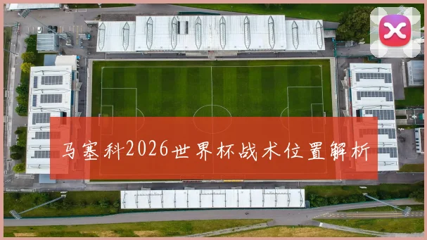 马塞科2026世界杯战术位置解析