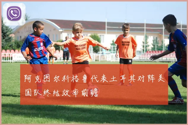 阿克图尔科格鲁代表土耳其对阵美国队终结效率前瞻