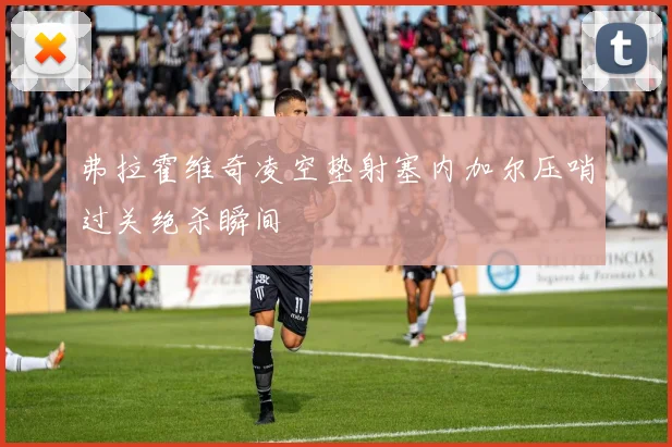 弗拉霍维奇凌空垫射塞内加尔压哨过关绝杀瞬间