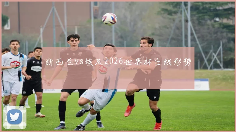新西兰vs埃及2026世界杯出线形势