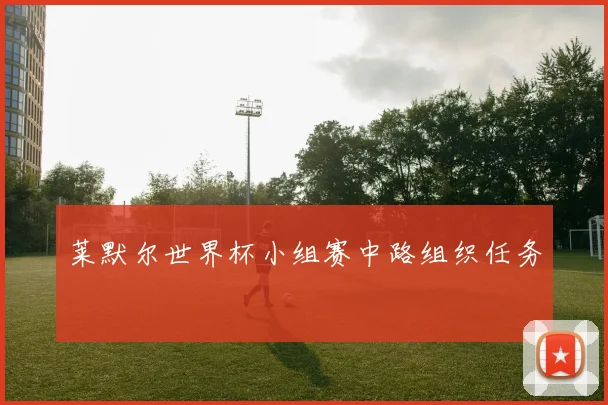 莱默尔世界杯小组赛中路组织任务